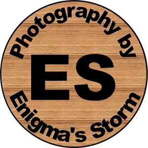 Meet your Posher, Troy